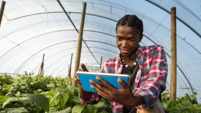 Farmer using tablet in field