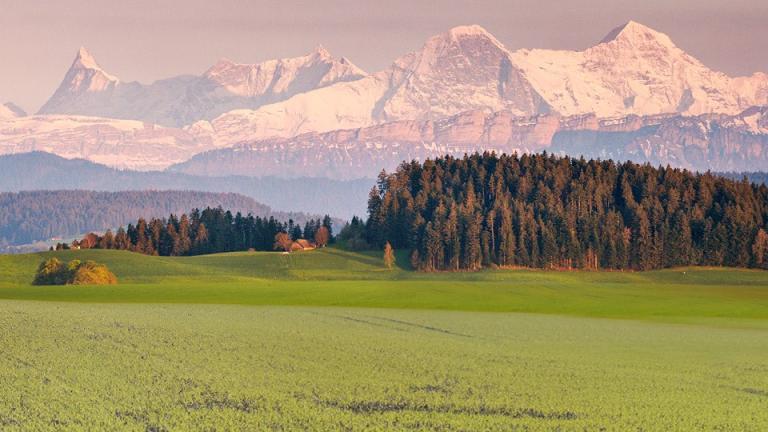 Herbststrategie Wintergetreide