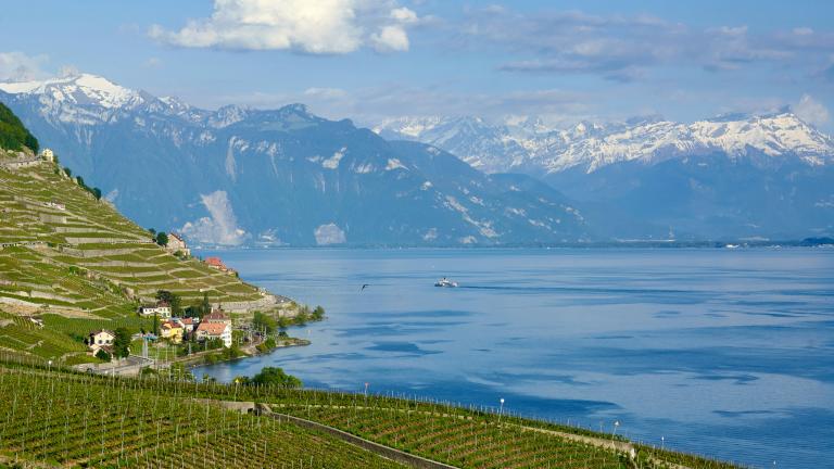 Genfersee