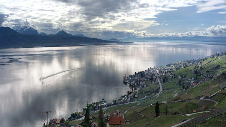 Genfersee