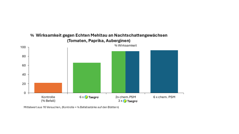 Wirksamkeit Taegro Nachtschattengewächse
