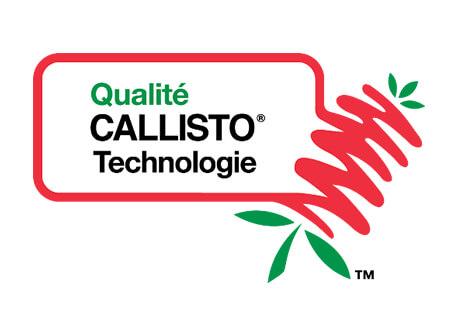 Callisto 