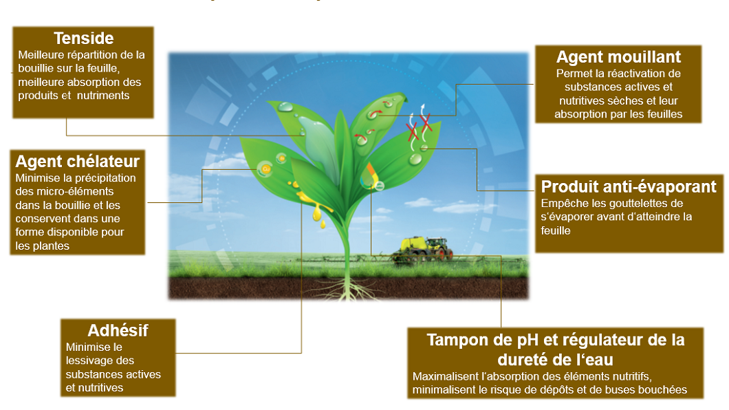 Wuxal Bor Plus