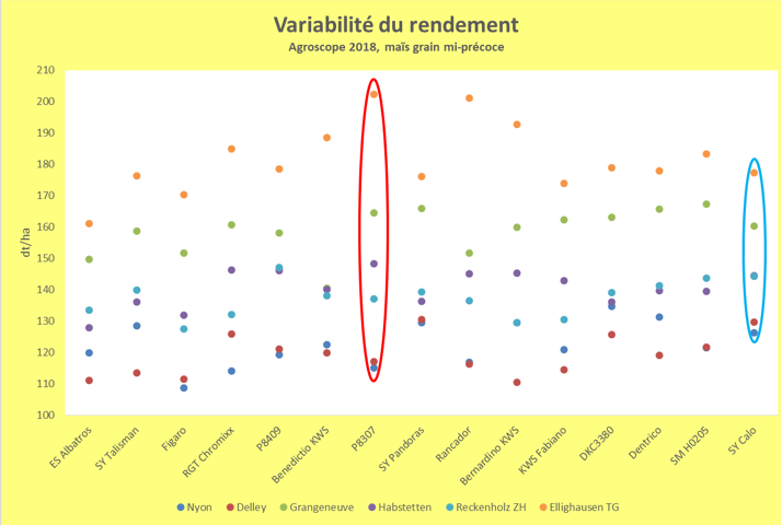 Syngenta variabilité du rendement maïs grain