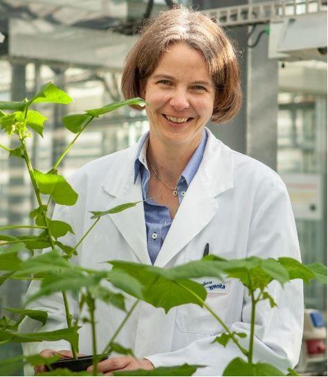 Anke Buchholz Syngenta