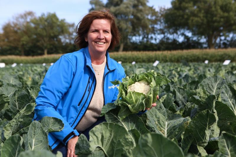 new-vegetable-varieties