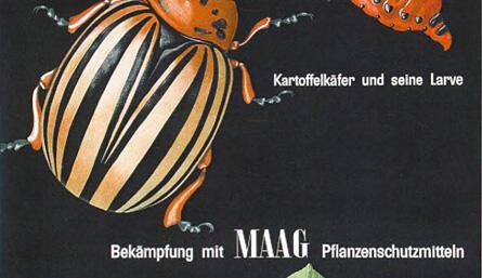 Pflanzenschutz Kartoffelkäfer