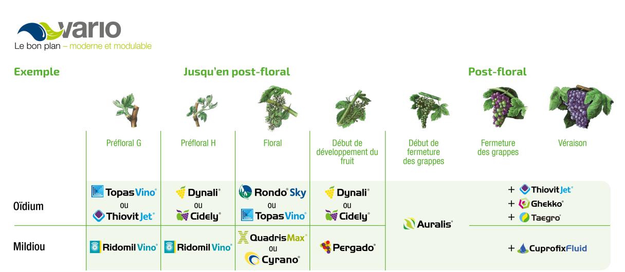 Plan de traitement Vario