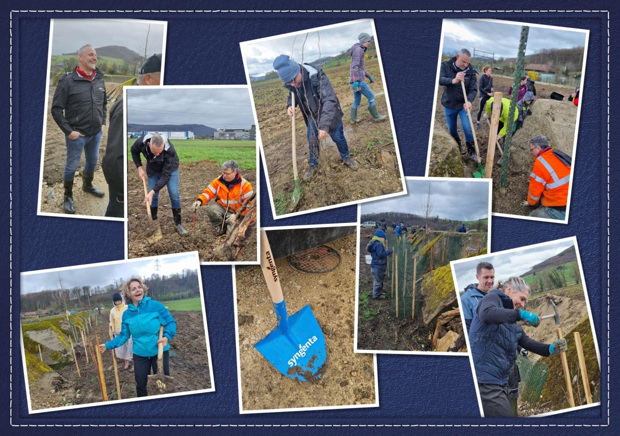 Biodiveristäts_hecke
