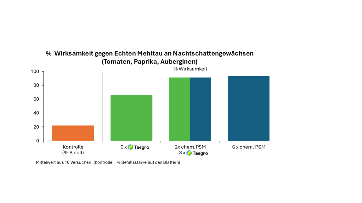 Wirksamkeit Taegro Nachtschattengewächse