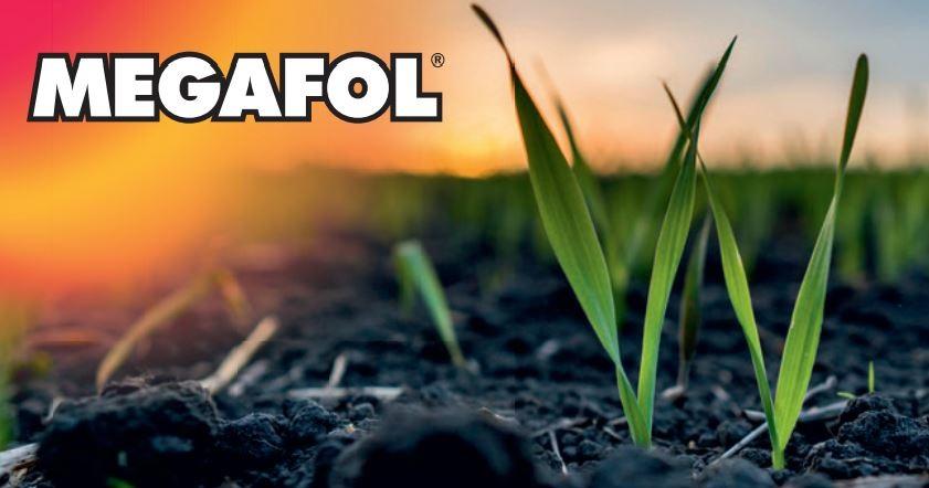 Megafol