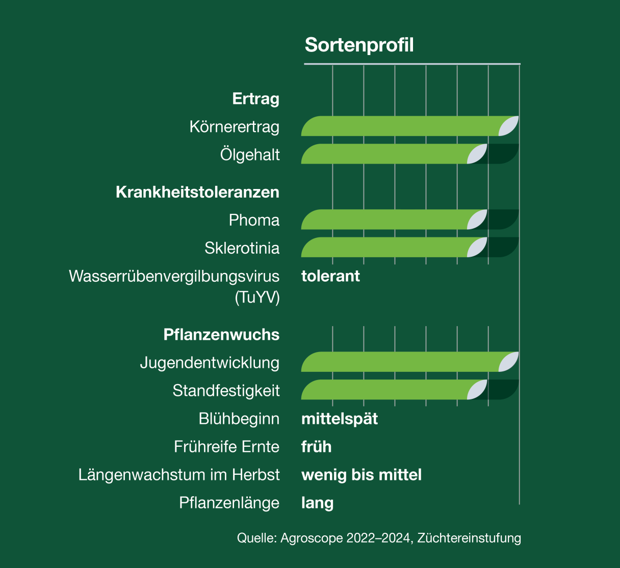 Sortenprofil_SY Matteo_25_d
