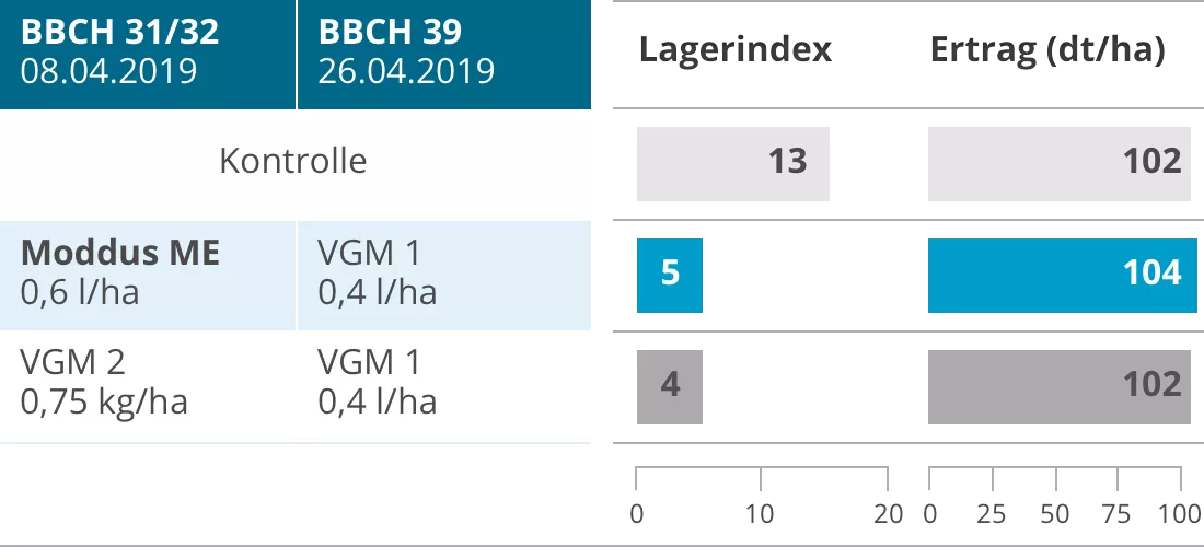 Moddus Erst kalt dann trocken
