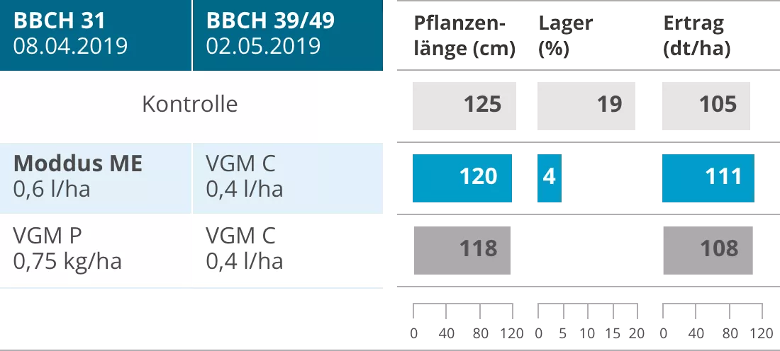 Bewölkung Moddus