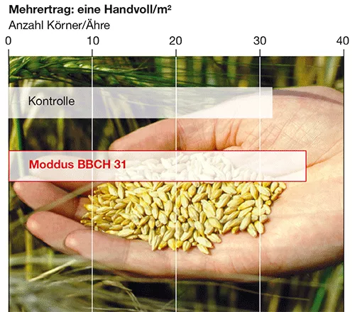 Moddus Mehrertrag