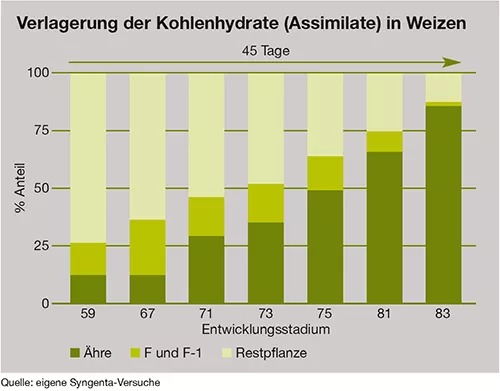 Verlagerung Kohlenhydrate