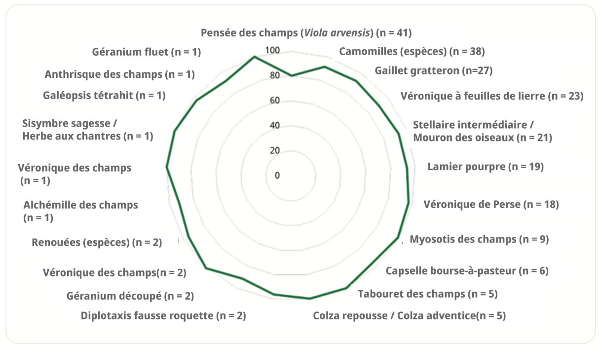 avoxa_mauvaises_herbes.png