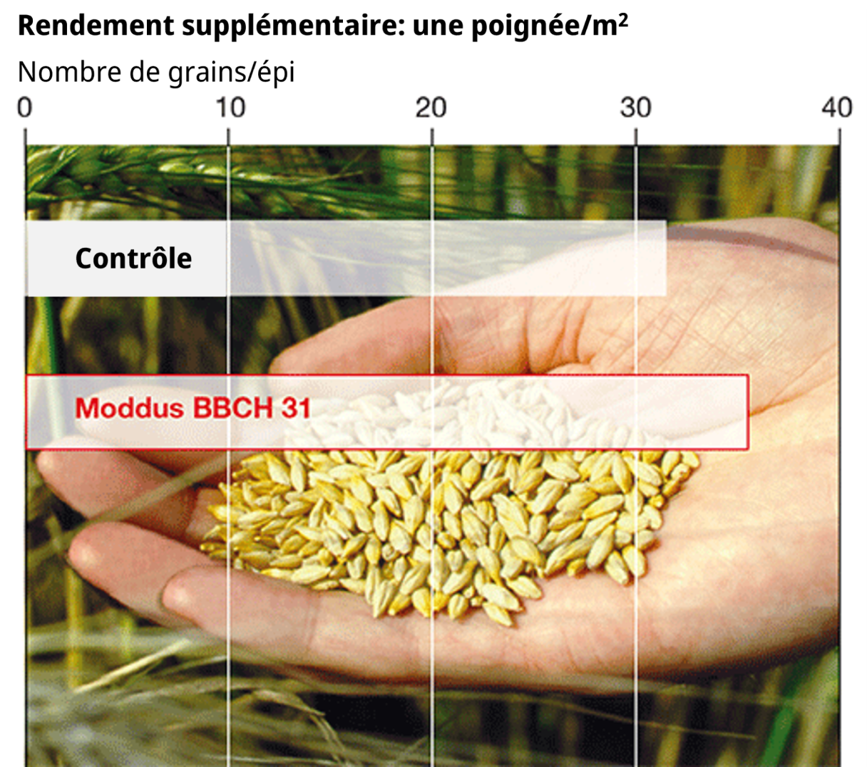 Moddus Rendement
