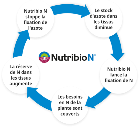 Nutribio N Effet
