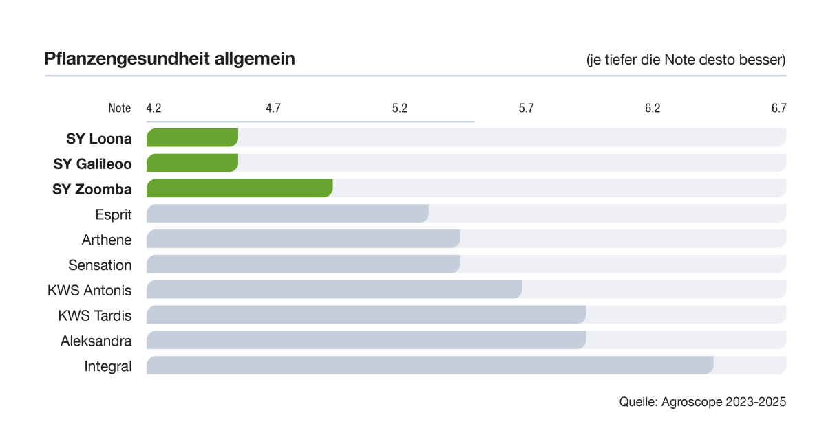 Horizontales Balkendiagramm mit grünen und grauen Balken auf dunklem Hintergrund
