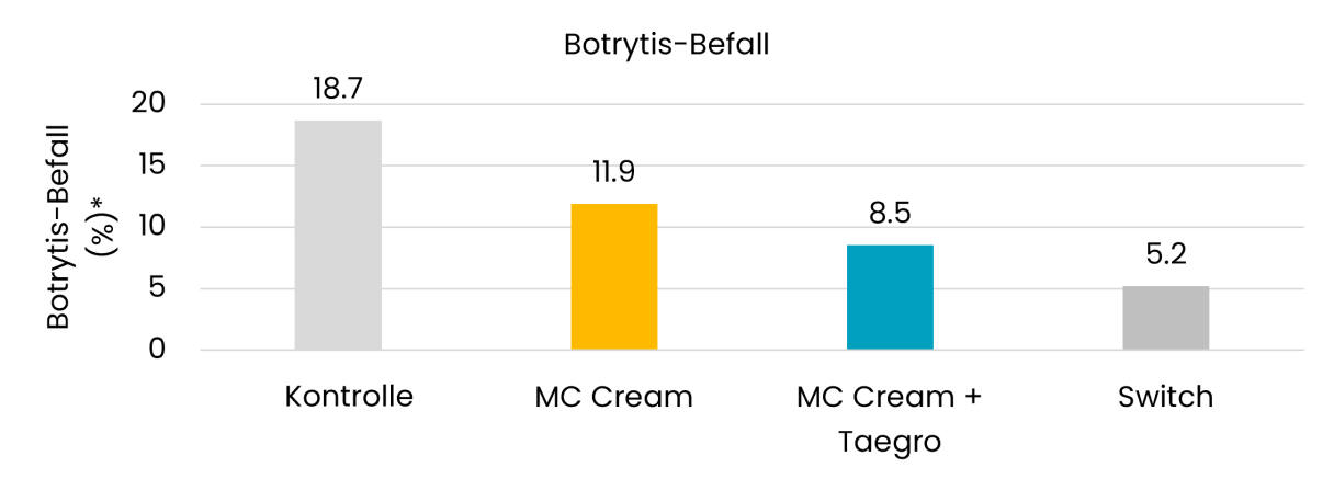 Botrytis Befall