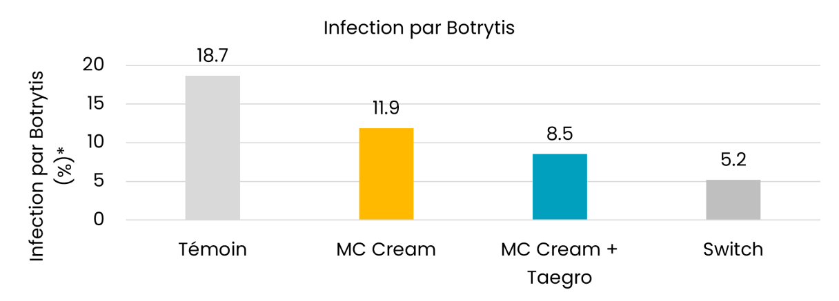 Botrytis
