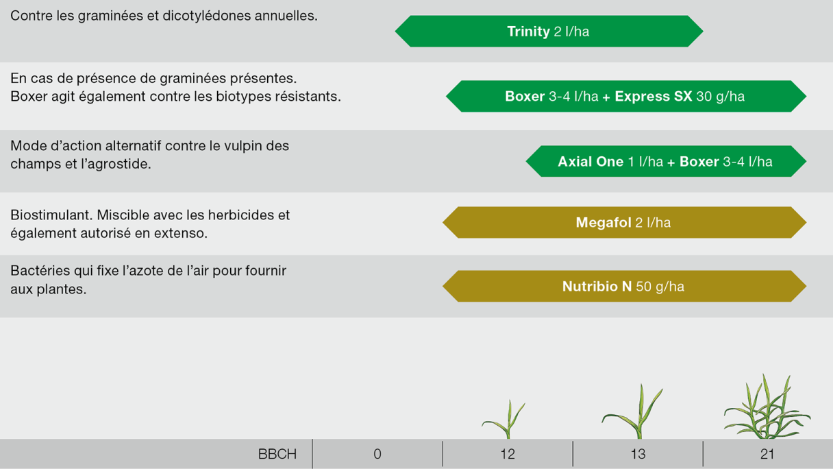 Recommandation d'application céréales d'hiver