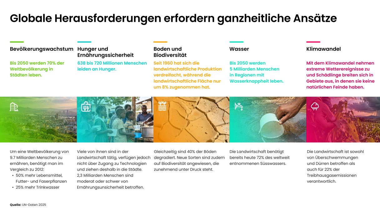 Infografik zu globalen Herausforderungen